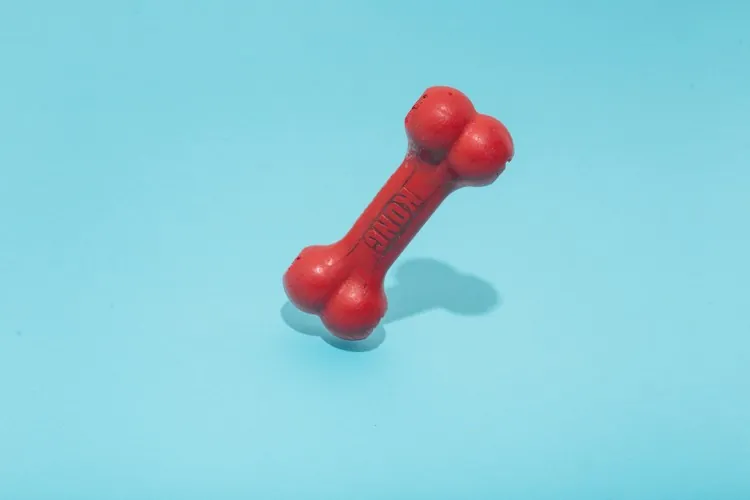 Red bone-shaped toy
